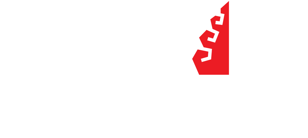 logo light